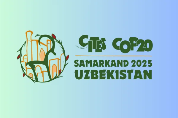 Logo der CITES COP 20 Samrakand, 2025